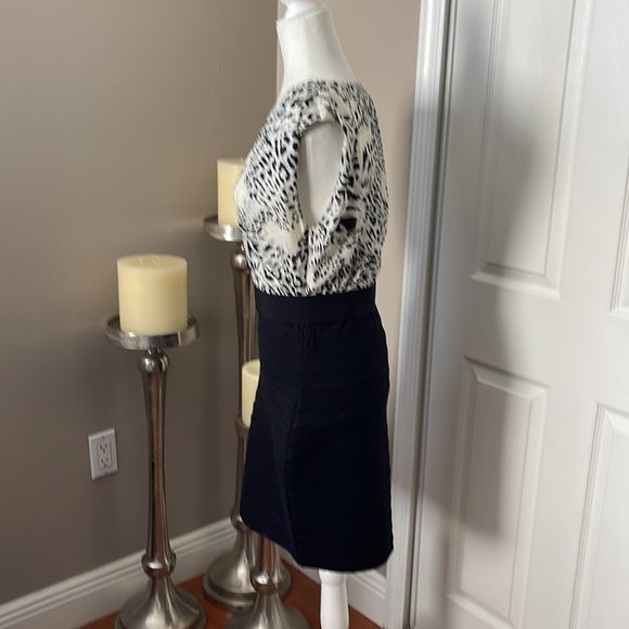 Express Dress - Picture 4 of 6